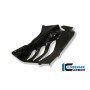 Fairing Race Side Panel (right) Carbon - BMW S 1000 RR Stocksport/Racing Parts