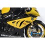 Fairing Race Side Panel (right) Carbon - BMW S 1000 RR Stocksport/Racing (2012-2014)