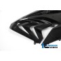 Fairing Side Panel (right) - BMW S 1000 RR (ab 2015)