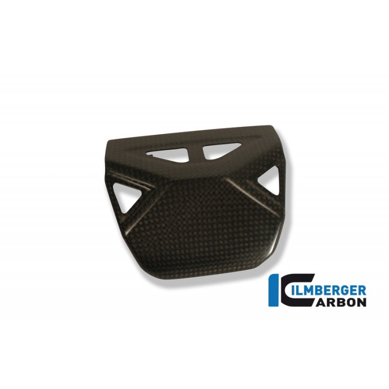 Exhaust Protection on the Exhaust Valve Carbon Ducati Diavel
