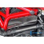 Cover under the Frame left side - Ducati Monster 1200 / 1200 S