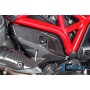 Cover under the Frame right side - Ducati Monster 1200 / 1200 S