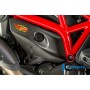 Cover under the Frame right side matt - Ducati Monster 1200 / 1200 S