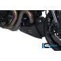 Bellypan right Side Carbon - Ducati Diavel