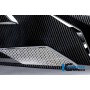 Bellypan Carbon - BMW S 1000 R