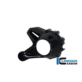 Bevel Drive Housing Protector Carbon - BMW R 1200 GS (LC from 2013) / R 1200 R (LC) from 2015 / R 12