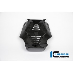 Bellypan central part Carbon - BMW R 1200 R (LC) from 2015 / BMW R 1200 RS (LC) from 2015