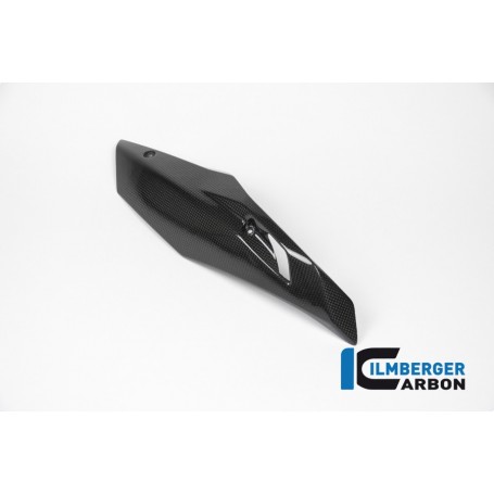 Bellypan right Side Carbon - BMW R 1200 R (LC) from 2015 / BMW R 1200 RS (LC) from 2015