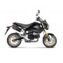 Akrapovic Slip-on Honda MSX 125 / Grom