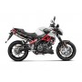 Akrapovic Slip-on Aprilia SHIVER 900