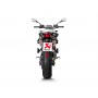 Akrapovic Slip-on Aprilia SHIVER 900