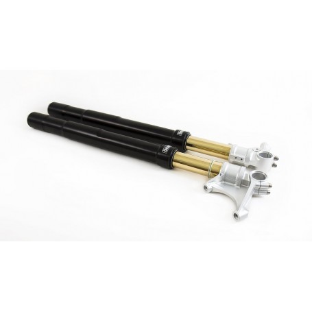 Öhlins FGRT Fork for Ducati 848/1098/1198 07-13