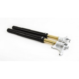 Öhlins FGRT Fork for BMW R NineT 17-19