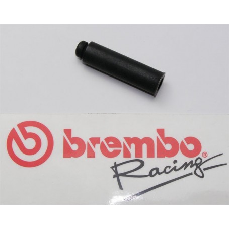Brembo Lever pin for PR 19/16