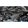 Fairing Side Panel Racing right BMW S 1000 RR Race 2019