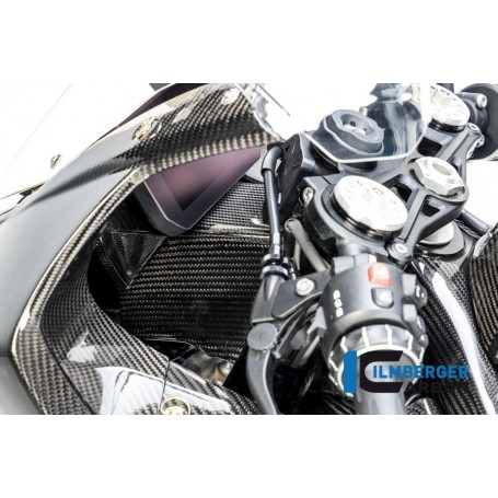 Front Fairing Holder/Instruments Holder BMW S 1000 RR Race 2019