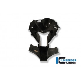 Air Intake (Front Fairing centre piece) Carbon - BMW S 1000 RR Street (2010-2014) / HP 4 (2012-now)