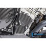 Ignition Rotor Cover Carbon - BMW S 1000 R (2014-now) / S 1000 RR Street (2010-now) / HP 4 (2012-no