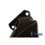 Front Sprocket Cover Carbon - BMW S 1000 R (2014-now / S 1000 RR Street (2015-now)