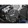 Alternator Cover Carbon - BMW S 1000 R (2014-now) / S 1000 RR Street (2010-now) / HP 4 (2012-now)