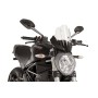 Touring Screen Ducati Monster 1200R 16 -18 C/Clear