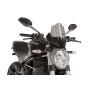 Touring Screen Ducati Monster 1200R 16 -18  C/Dark