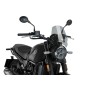 Winds.New Generation Benelli Leoncino 500