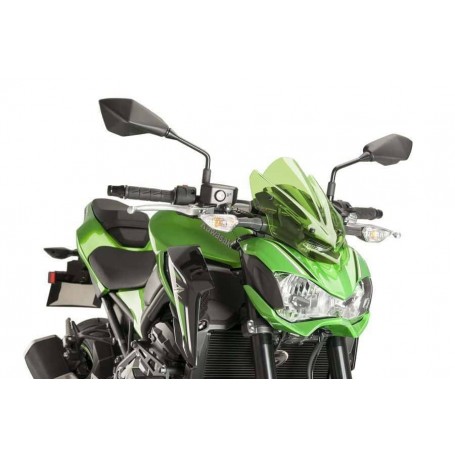 Windshield. N.G. Sport Kawasaki Z900 17-18 C/Green