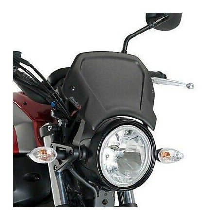 Aluminium Front Plate For Yamaha Xsr900 16-18 