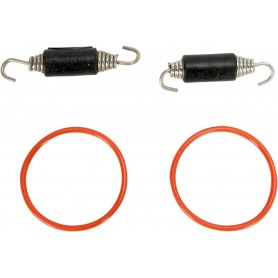 SPRING/O-RING KIT BETA