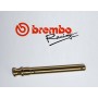 Brembo Pad spring  for XA1J0 Rear Caliper 