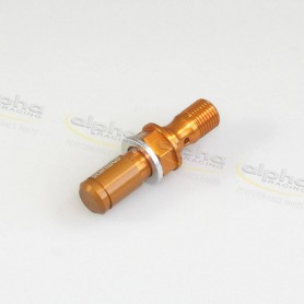 Hollow screw bleeding valve M10 x1x19 gold