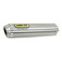 SILENCER MINI THUNDER ARROW TITANIUM BETA RR 50 MOTARD 2010-2011