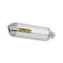 Arrow Silencer Race Tech Carbon  71744MK