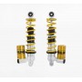 Öhlins STX 36 Front Shock for Vespa GTS150/300