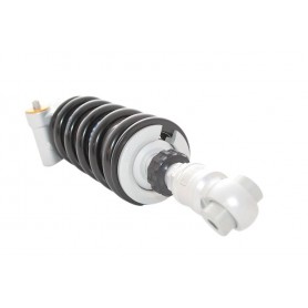 Öhlins STX 46 Shock for BMW R NineT
