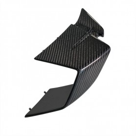 Winglet right side carbon