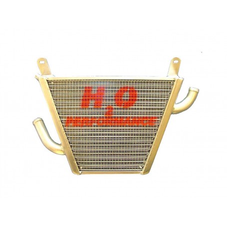 H2O Additional Water Radiator “Trofeo” Honda Hornet