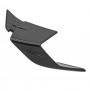 Winglet left side carbon. S 1000 RR 2023- 