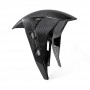 Front fender SBK carbon. S 1000 RR 2019-