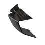 Winglet left side carbon