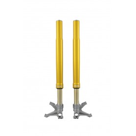 Öhlins FGR 250 USD Fork for Ducati Panigale V4 20-24