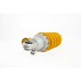 Öhlins STX 46 Shock for Triumph Trident 660 21-24