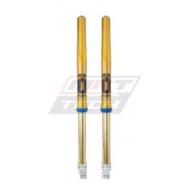 Öhlins Beta RR2T / RR4T