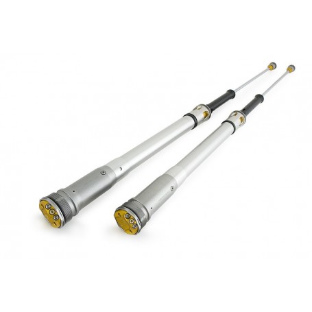 Öhlins Beta RR2T/RR4T PPP