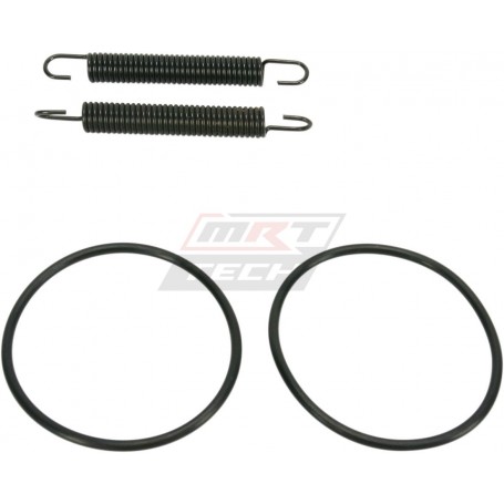 SPRING/ORING KIT YZ250