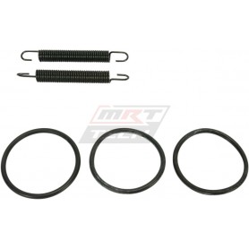 SPRING/ORING KIT YZ125