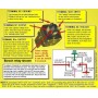 Denali Replacement 5-pin relay (for Electrical Connection power distribution block or horns)